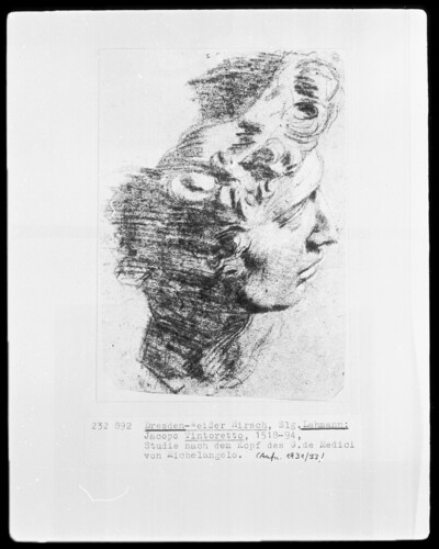 Study after the head of the G. de Medici by Michelangelo