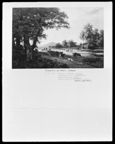 Wiesental with herd of cattle