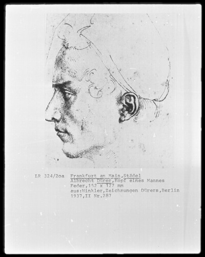 Head of a man in profile, looking to the left