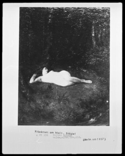 Forest nymph