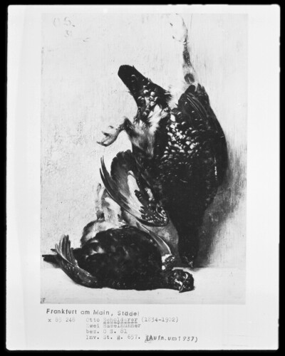 Two dead hazelchickens
