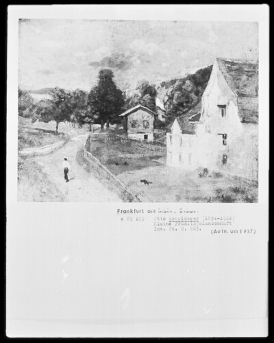 Small spring landscape
