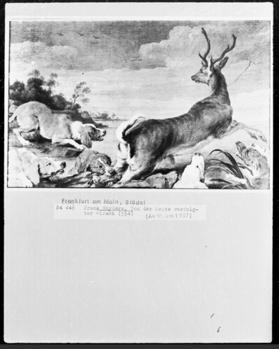 Deer persecuted by the Mog