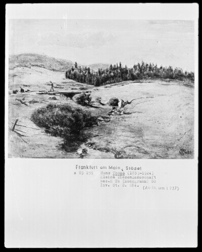 Small meadow landscape with stream