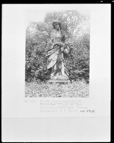 Flora