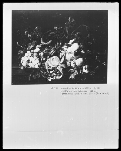 Still Life of Fruits