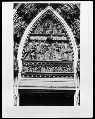 tympanum