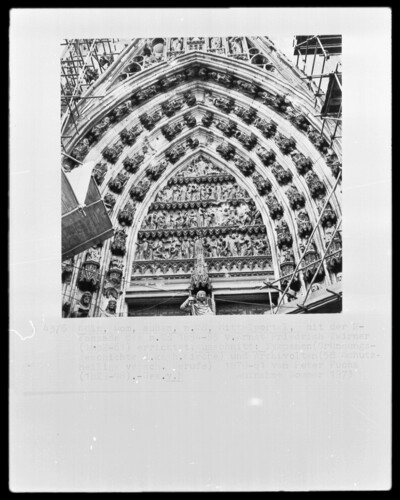 tympanum