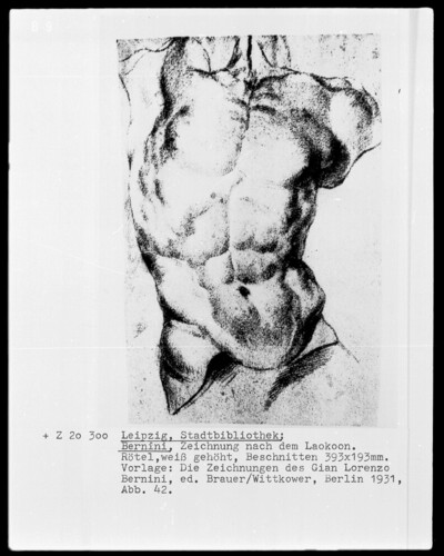 Study after the Laokoon