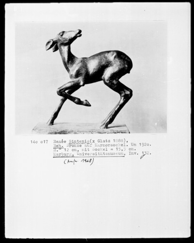 deer