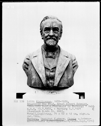Ernst Albert Schmidt (1845-1921), Professor der Pharmazie in Marburg