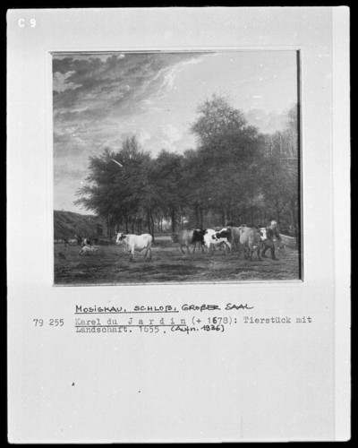 Animal element with landscape