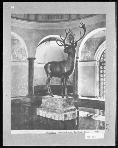 Deer