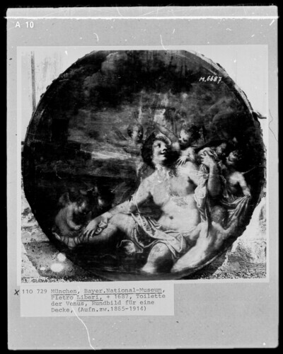 Venus Toilet