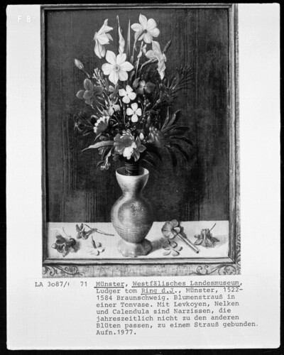 Bouquet in a clay vase