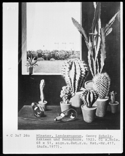 Cacti and Semaphore