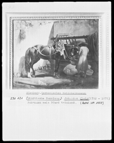 Fuhrmann, his horse soaking