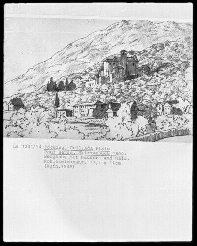 Mountain slope with houses and forest