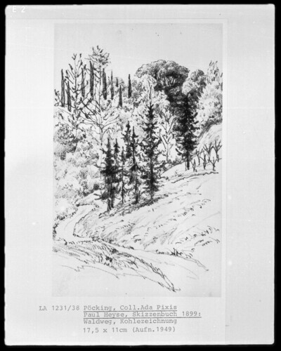 Forest Way