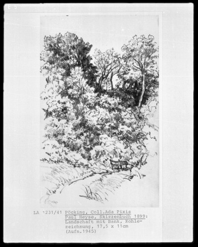 Landscape with bench