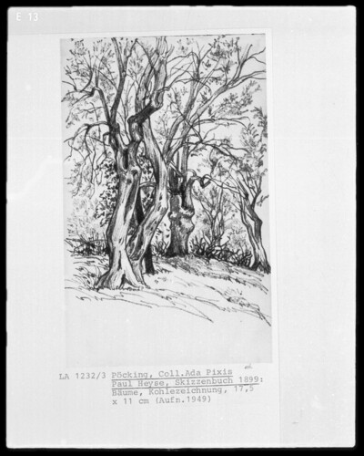 Trees