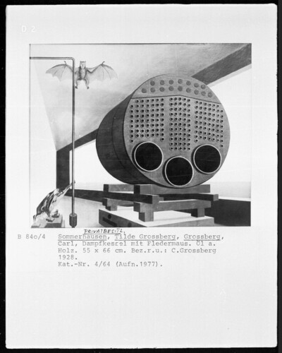 Steam boiler with bat
