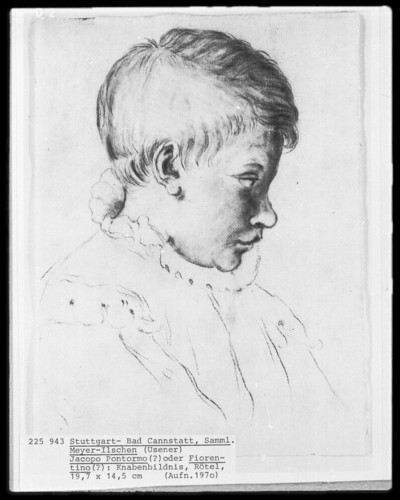 Boy portrait