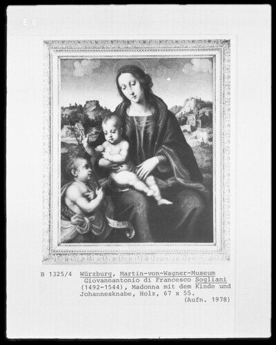 Madonna with the Child and John boy