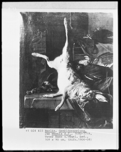 Still Life with Dead Hares and Birds
