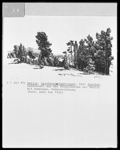 View from the Müggelberg Mountains onto the Dame