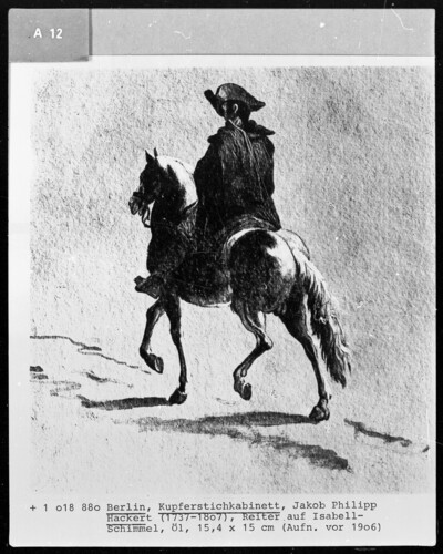 Rider on an Isabell mold