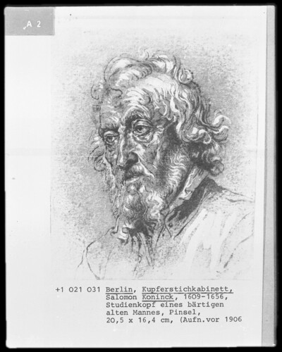 Study head of a bearded old man
