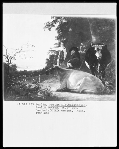 Landscape with oxen