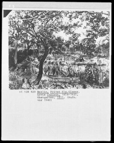 orchard