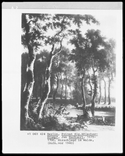 Deer hunting in the forest
