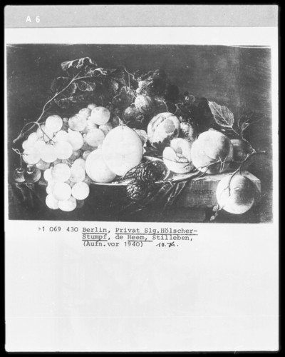 Still Life