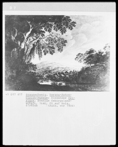 Landscape with mountain stream