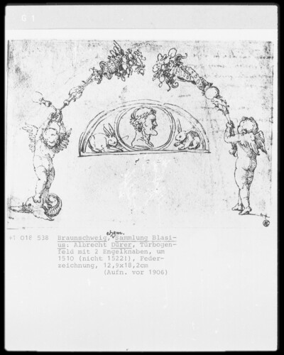 Door arch field