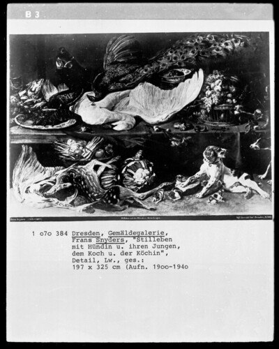 Still Life with the Bitch and her Boys