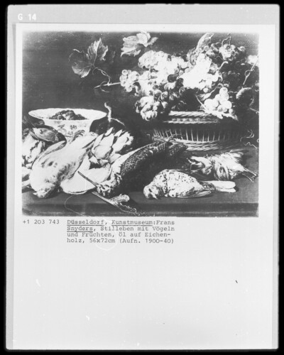 Still Life with Birds and Fruits
