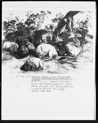 Shepherd and herd
