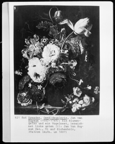 A flower vessel and a bird’s nest
