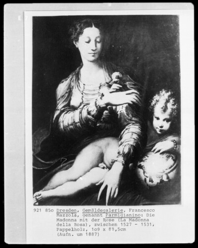 La Madonna della Rosa