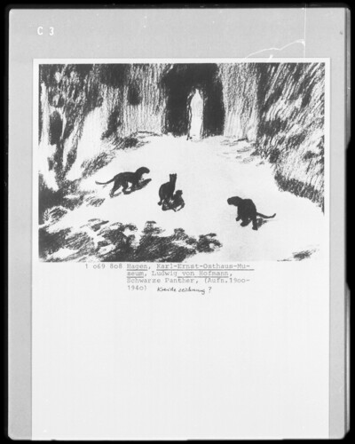 Black Panthers