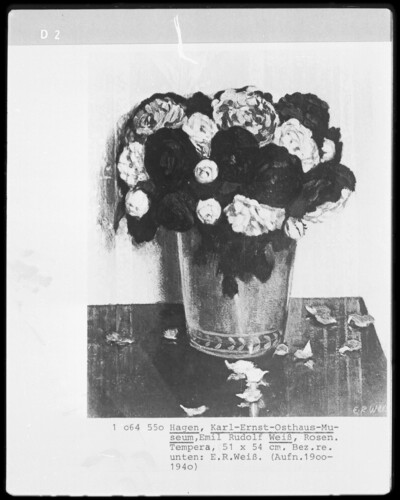 Roses