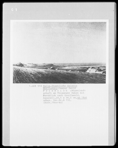 Ruffle Landscape at Thissower Haken with a Distance View to Greifswald