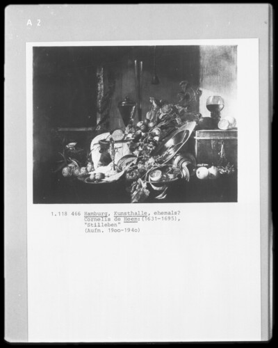 Still Life