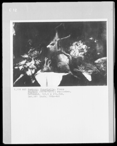 Still Life