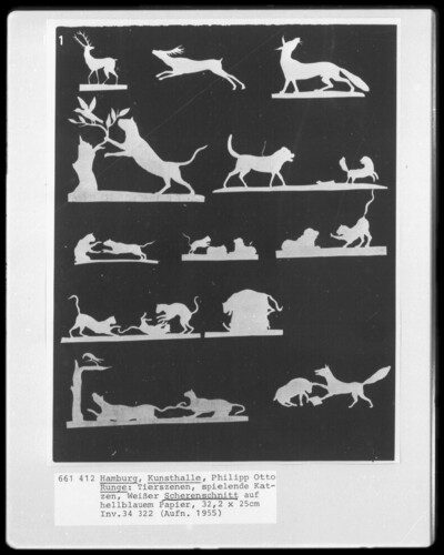 Animal scenes, playing cats
