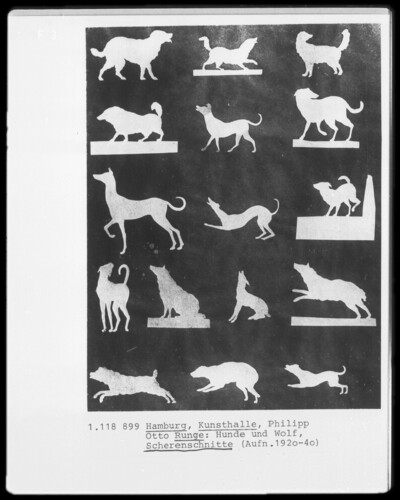 Animal scenes, dogs and wolf